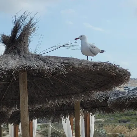 Cabrio - * Gran Alacant